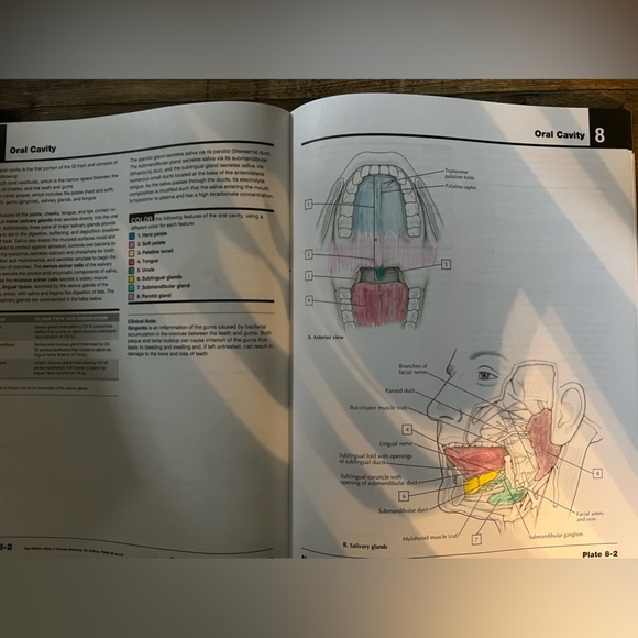 John T. Hansen Netter’s Anatomy Coloring Book 2nd Edition. WITH ACCESS CODE RN - Picture 3 of 6